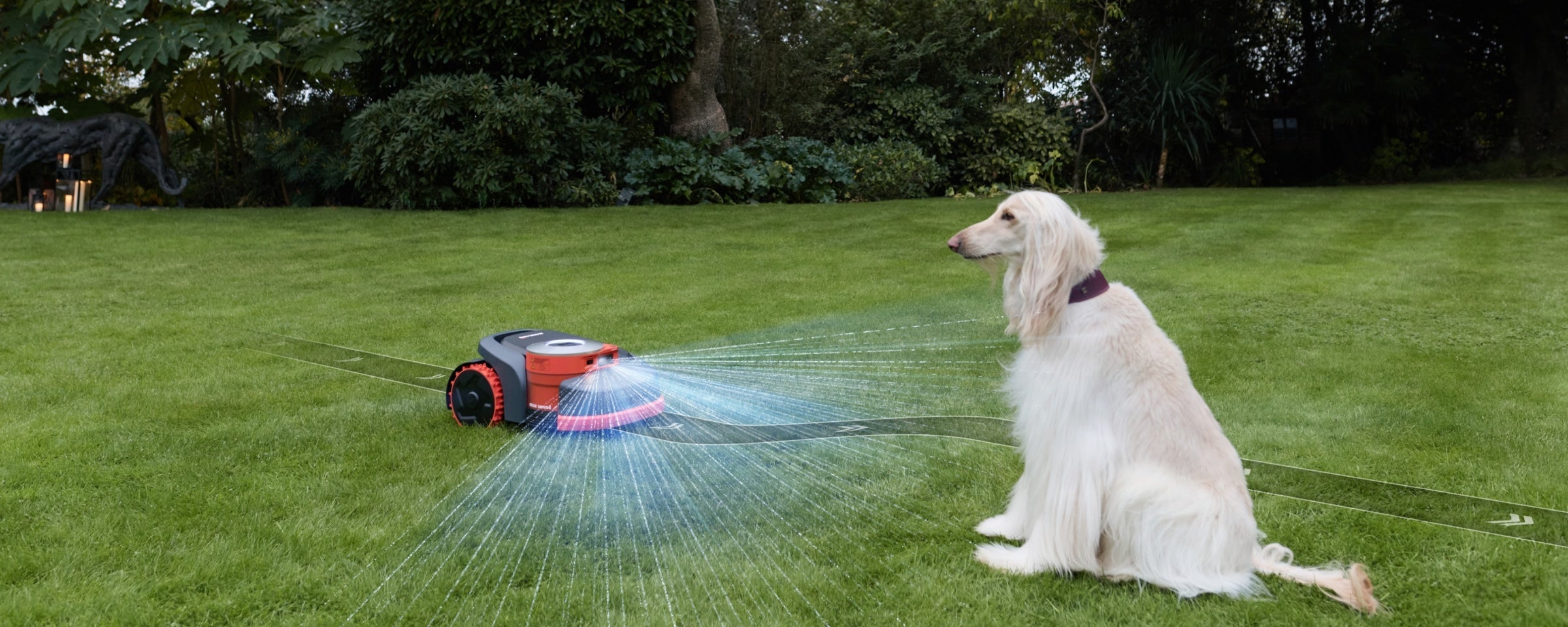 Navimow i110N robot lawn mower sits on grass with dog.