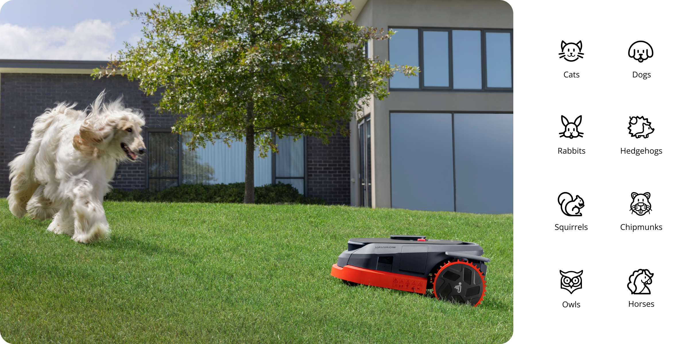 Navimow i Series robot lawn mower detects animals in the grass.