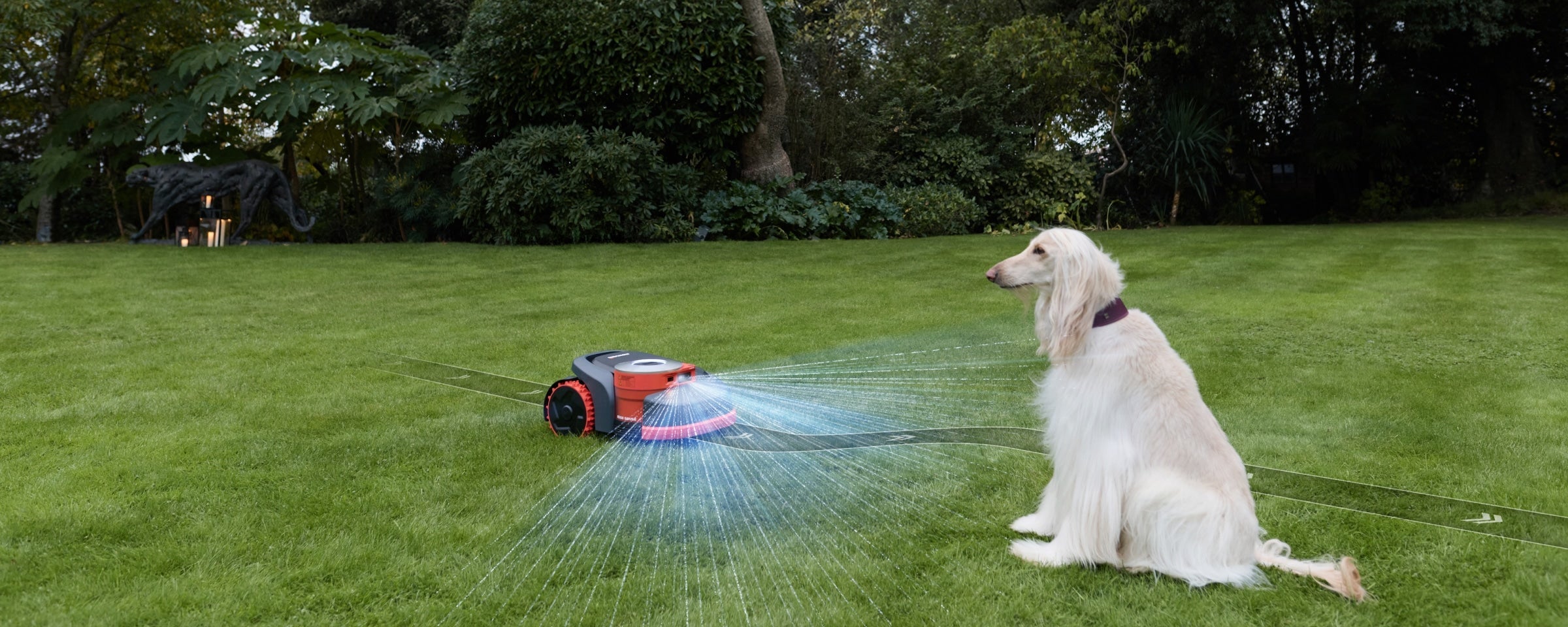 Navimow i110E robot lawn mower detects dog on green lawn.