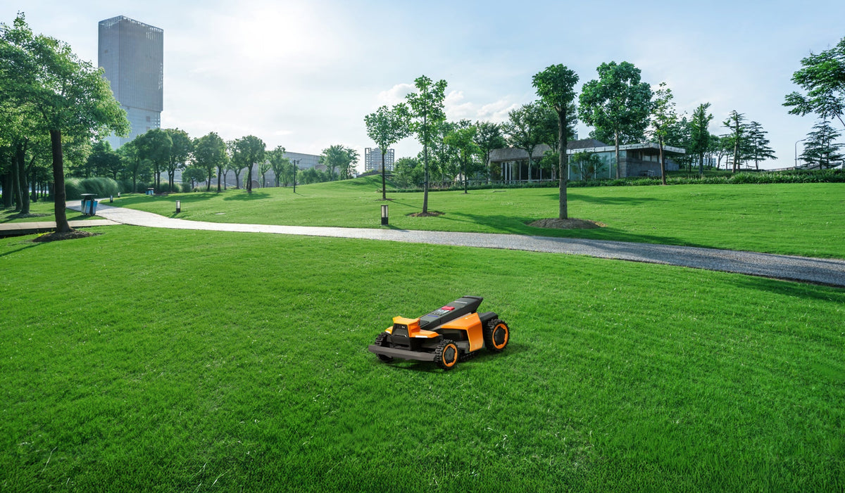 Segway Navimow i110E robot lawn mower mows the green lawn.